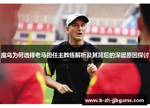 魔鸟为何选择老马担任主教练解析及其背后的深层原因探讨